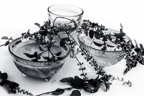 페이스 마스크 오트밀잘 화상에 사용되는 우유와 거룩한 바질과 — 스톡 사진