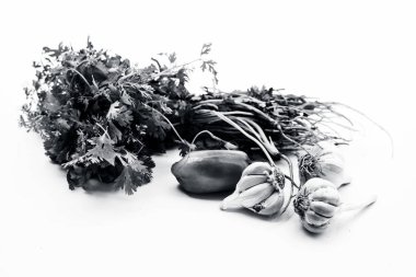 Taze yapraklı sebze yani kişniş yaprakları yeşil biber ve bazı sarımsak ampuller ile birlikte beyaz izole.