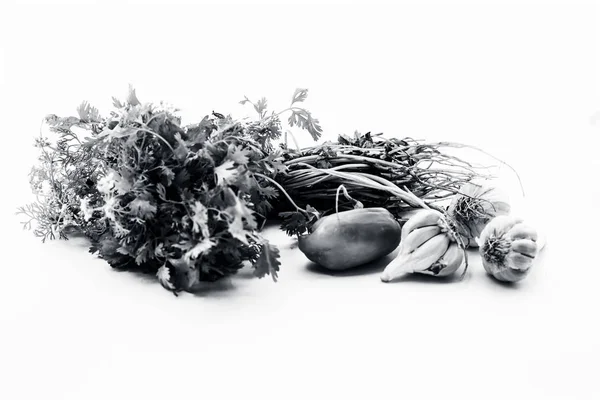 Čerstvá Zeleninová Zelenina Koriandr Opouští Izolovaná Bílém Spolu Zeleným Chilli — Stock fotografie