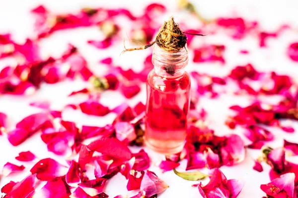 Rosenblätter Verteilen Sich Auf Der Oberfläche Zusammen Mit Einer Kleinen — Stockfoto