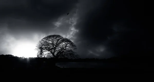Słońce Ustawienie Drzewo Brzegu Jeziora Czasie Zmierzchu Kolorowych Dramatycznych Chmur — Zdjęcie stockowe