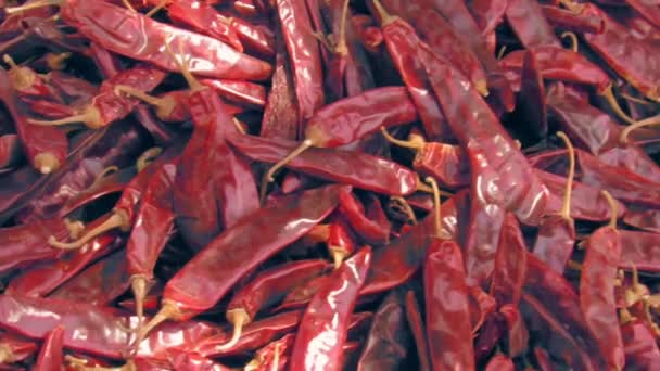 Πικάντικες Αποξηραμένες Διάσημες Ινδικές Κόκκινες Πιπεριές Ένα Καλάθι Στην Αγορά — Αρχείο Βίντεο