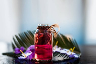 Biberiye konsantrasyonu veya özü, çiçekleri ve bazı yaprakları ile birlikte ahşap yüzeyüzerinde bir cam şişe.