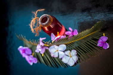 Biberiye konsantrasyonu veya özü, çiçekleri ve bazı yaprakları ile birlikte ahşap yüzeyüzerinde bir cam şişe.