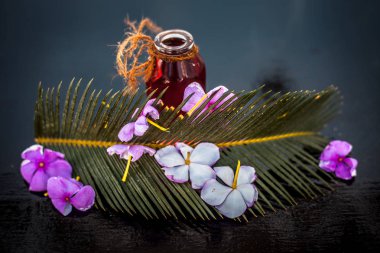 Biberiye konsantrasyonu veya özü, çiçekleri ve bazı yaprakları ile birlikte ahşap yüzeyüzerinde bir cam şişe.