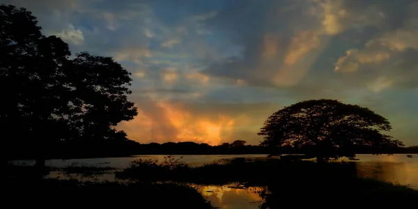 Imagem Criativa Pôr Sol Pôr Sol Atrás Árvore Lago Durante — Fotografia de Stock