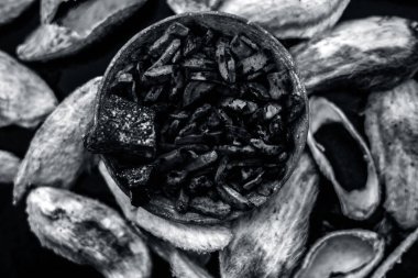 popüler Hint ve Asya aam ki guthli ka mukhwas ghee ve sert haşlanmış mango tohumları oluşan kase 