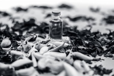 beyaz yüzeyde şişehindistan cevizi yağı ile yaprakları ve sarımsak karanfil ile Hint Leylak yüz maskesi için malzemeler 