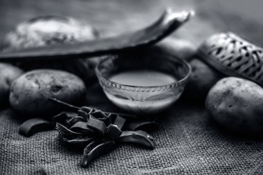 patates suyu iyi çiğ patates ve aloe vera jüt çanta yüzeyinde yaprakları boyunca cam kase içinde aloe vera jel ile karışık, kepek ve kafa derisi temizliği için ev yapımı klima ve şampuan kavramı 