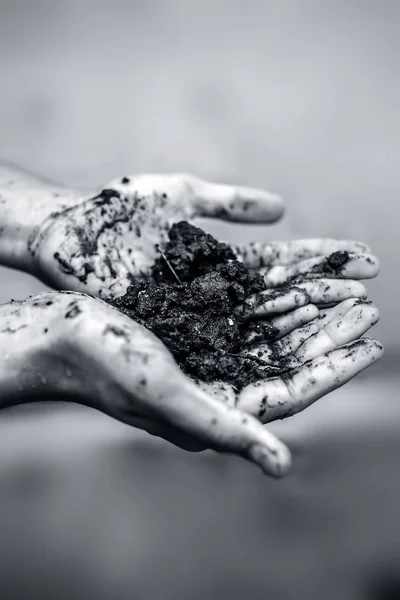 Primer Plano Las Manos Granjero Sosteniendo Nueva Tierra Fresca Después — Foto de Stock