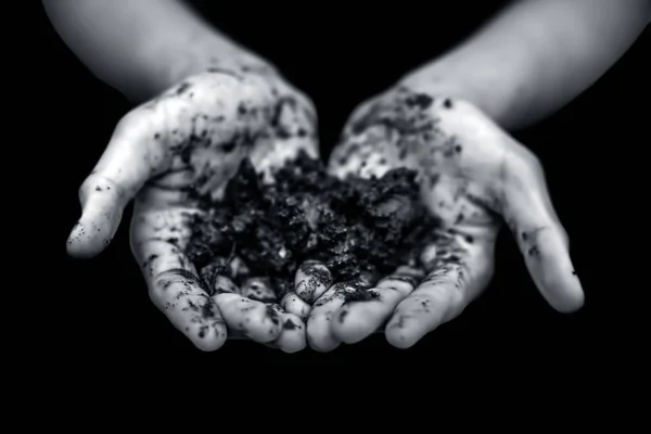 Close Hands Farmer Holding New Fresh Soil Rain His Hands — Stock Photo, Image