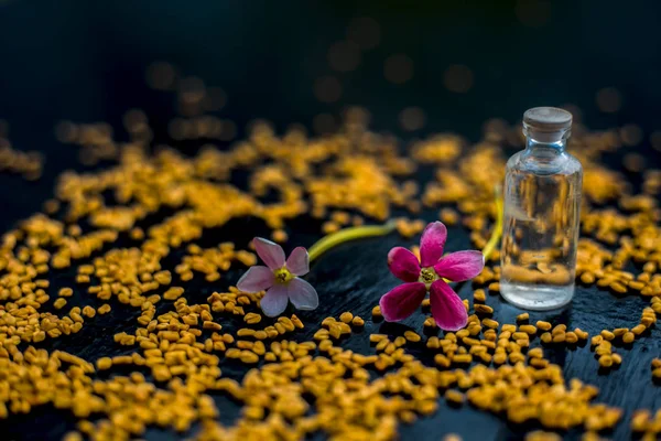 Sementes Feno Grego Cru Superfície Madeira Com Pouco Óleo Coco — Fotografia de Stock