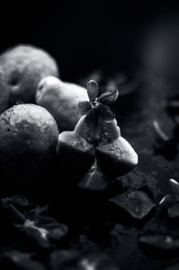 siyah bir arka plan üzerinde taze taşlar