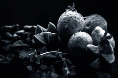 siyah arka plan üzerinde grup