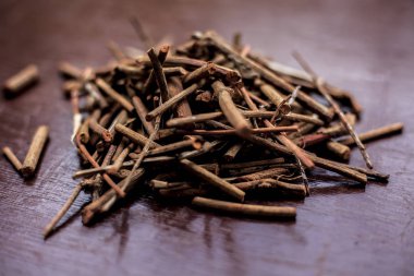 Eski Ayurveda'dan elde edilen çeşitli sağlık yararları ile manjistha/manzistha/Rubia cordifolia/madder vb. olarak da bilinen kahverengi renkli ahşap yüzeyde Hint madderwort veya madder kökü Demeti.