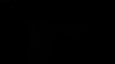 Siyah üzerine izole edilmiş beyaz insan eli yakın çekim ve Asl 'ın S alfabesi işareti (Amerikan işaret dili).