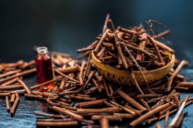 Manjistha/manzistha/Rubia cordifolia/madder vb. olarak da bilinen siyah ahşap yüzeyde kahverengi renkli bir sepetiçinde Hint madderwort veya madder kök Demet.