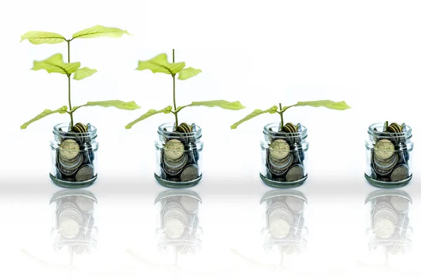 Een glazen pot vol munten en planten die er doorheen groeien. Concept — Stockfoto