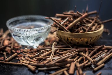 Cam bardak ta hazır su ile Hint madderwort Demet