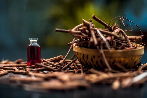 Ramo Mosto Indio Una Pequeña Canasta — Foto de Stock