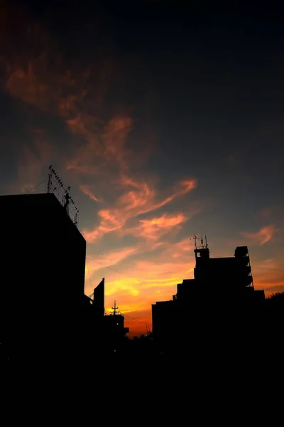 Драматичний Захід Сонця Знятий Дерев Будівель Драматичне Небо Фантастичними Кольорами — стокове фото