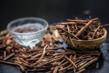 Cam bardak ta hazır su ile Hint madderwort Demet