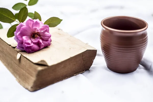 Vintage Oude Boek Witte Stof Met Roze Roos Klei Mok — Stockfoto