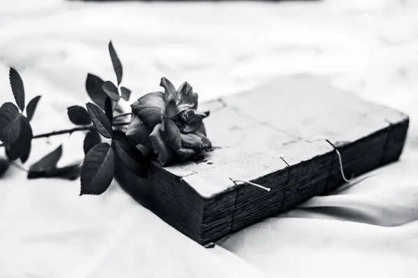 Vintage old book on white fabric with single pink colored rose and coffee in clay mug, black and white