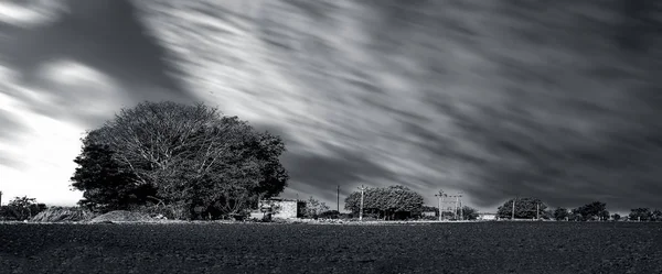 Paisagem Tiro Arado Campo Com Árvores Algumas Nuvens Dia Tiro — Fotografia de Stock