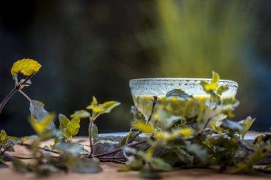 Fesleğenin taze Ayurvedik yüzü cam kasede yapraklar 