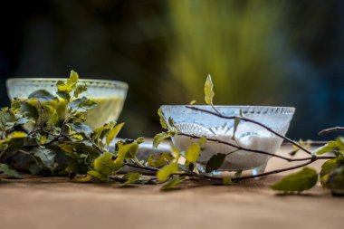 Fesleğenin Taze Ayurvedik yüz maskesi Cam kaselerde lor tozu