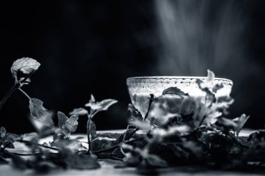 Fesleğenin taze Ayurvedik yüzü cam kasede yapraklar 