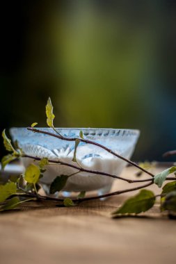 Fesleğenin taze Ayurvedik yüzü cam kasede yapraklar 