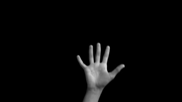 Single Handed Americal Sign Language Demonstratie Van Alfabet Door Hand — Stockvideo