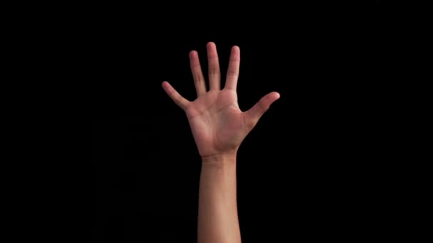 Single Handed Americal Sign Language Demonstratie Van Alfabet Door Hand — Stockvideo