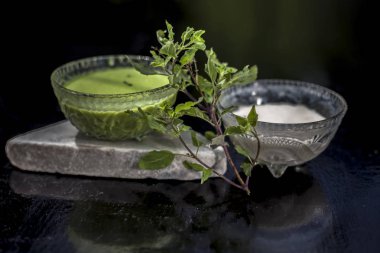 Tulsi ya da fesleğen yapraklarından oluşan bitkisel ve ayurvedik yüz maskesi bir cam kâse içinde, ahşap yüzeyde kaymak ve çiğ tül yapraklarıyla karıştırılmış tül özlü bir sıvıdan oluşur. Yatay çekim..