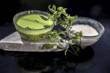 Tulsi ya da fesleğen yapraklarından oluşan bitkisel ve ayurvedik yüz maskesi bir cam kasede, ahşap yüzeyde kaymak ve çiğ tül yapraklarıyla karıştırılmış bir tül özünden oluşur..