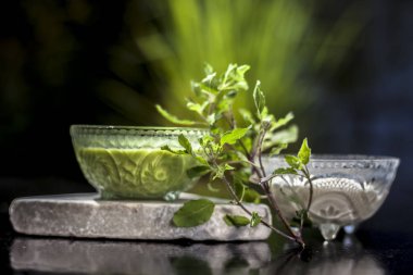 Tulsi ya da fesleğen yapraklarından oluşan bitkisel ve ayurvedik yüz maskesi bir cam kâse içinde, ahşap yüzeyde kaymak ve çiğ tül yapraklarıyla karıştırılmış tül özlü bir sıvıdan oluşur. Yatay çekim..