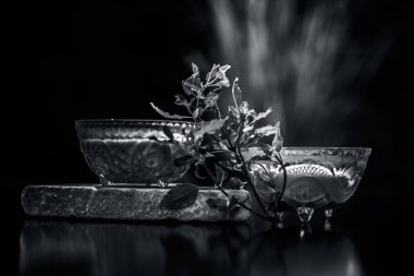Tulsi ya da fesleğen yapraklarından oluşan bitkisel ve ayurvedik yüz maskesi bir cam kâse içinde, ahşap yüzeyde kaymak ve çiğ tül yapraklarıyla karıştırılmış tül özlü bir sıvıdan oluşur. Yatay çekim..