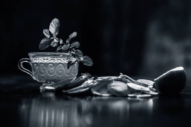 Tahta yüzeyine biraz nane yaprağı serpiştirilmiş taze kesilmiş havuç.