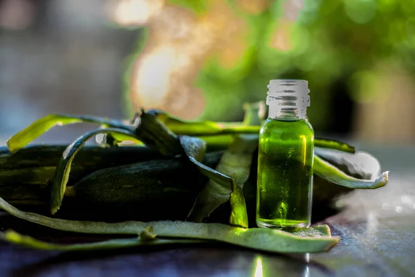 Primer Plano Toma Aceite Esencial Fresco Calabaza Esponja Luffa Una — Foto de Stock