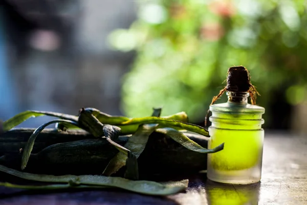 Tournage Une Gourde Éponge Crue Fraîche Une Huile Herbes Luffa — Photo