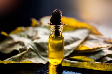 Colocasia ya da Fil Yaprakları 'nı yakın çekimde, arbi ke paan, cam bir şişenin içindeki temel yağıyla ve geleneksel kapağıyla birlikte bir yüzeyde..