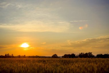 Bir güneş ışıkları. Sabah erken, summe