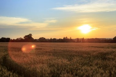 Bir güneş ışıkları. Sabah erken, summe