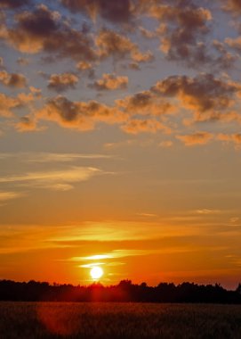 Bir güneş ışıkları. Sabah erken, summe