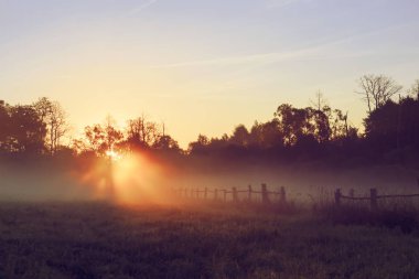 Bir güneş ışıkları. Sabah erken, summe