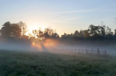 Bir güneş ışıkları. Sabah erken, summe