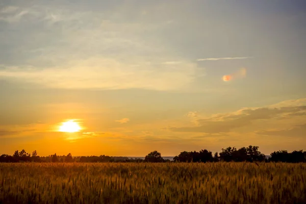 Bir güneş ışıkları. Sabah erken, summe