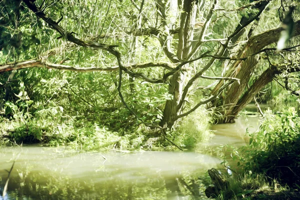 Ρυάκι Στο Δάσος Νερό Επιφάνεια Φύση Δάσος — Φωτογραφία Αρχείου